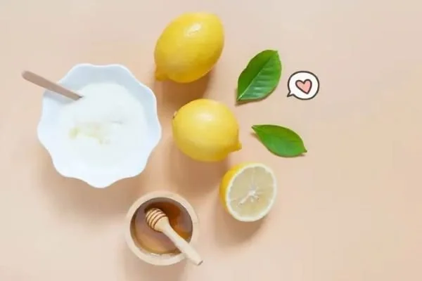 Ilustrasi buah lemon (Dok : int).