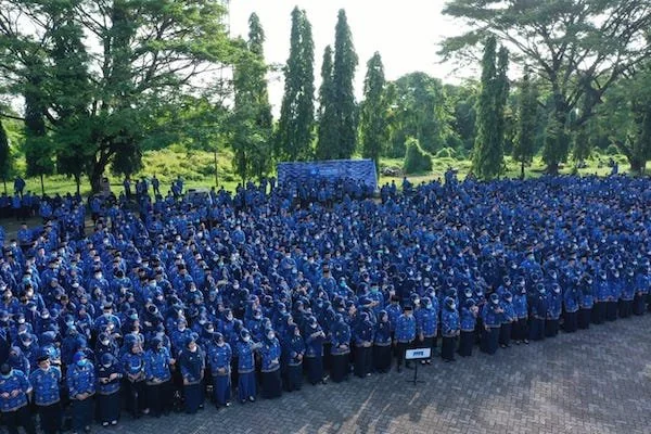 PPPK lingkup Pemprov Sulsel (dok. Ist)
