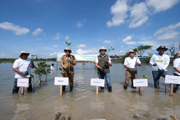 Penanaman secara simbolis pohon mangrove di pesisir Kecamatan Bangkala, Kabupaten Jeneponto dalam tajuk kegiatan Roots of Energy, memperingati Hari Menanam Pohon Indonesia 2025. (Dok: Ist)