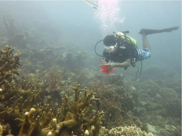 Aksi Rehabilitasi Terumbu Karang di Pulau Bontosua, Kabupaten Pangkep.