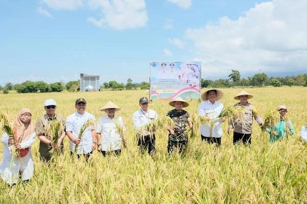 Panen Raya Padi Serentak di Bantaeng ist