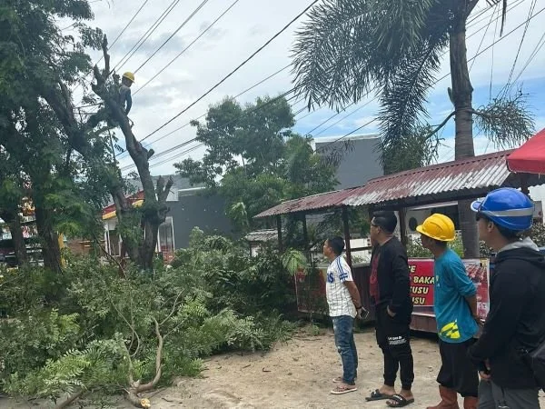 Anggota DPRD Bulukumba memantau langsung pemangkasan pohon (Dok : Ist).