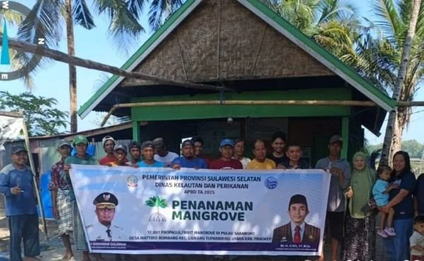 142 ribu lebih bibit mangrove telah ditanam oleh Pemprov Sulsel di empat kabupaten, salah satunya di Pulau Sabangko Kabupaten Pangkep (Dok : Ist).