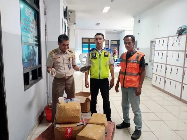 Teripang susu yang berhasil di amankan (Dok: Ist)