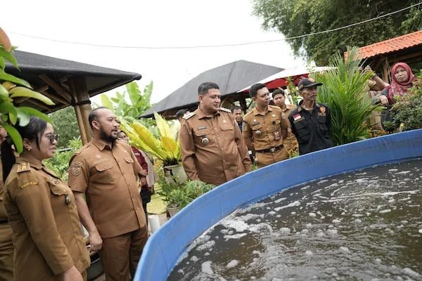 Wali Kota Makassar Munafri Arifuddin saat Meninjau Urban Farming (Dok: Ist).