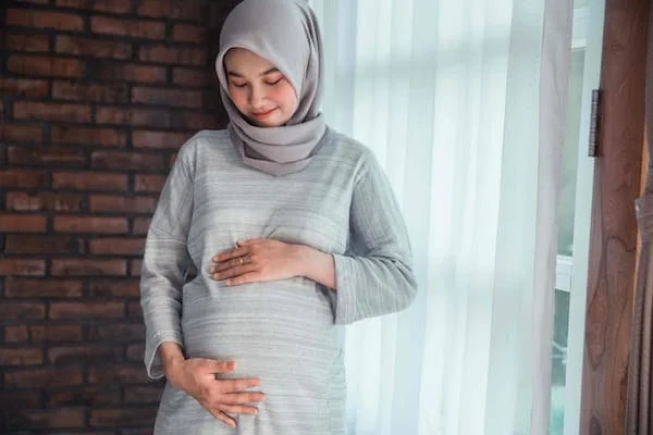 ilustrasi ibu hamil (dok. Ist)