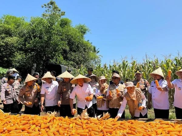 uji petik program ketahanan pangan yang dilakukan Mabes Polri bersama Polres Maros (Dok:Ist)