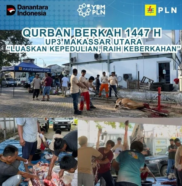 YBM PLN UP3 Makassar Utara sukses melaksanakan kegiatan Kurban Berkah 1447 H. (Dok: Ist)
