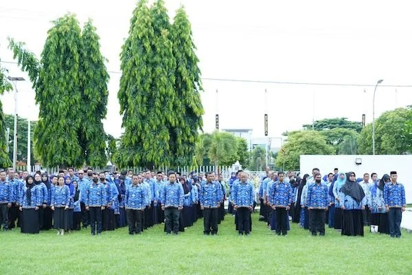 ASN kabupaten Bulukumba (Foto : IST).