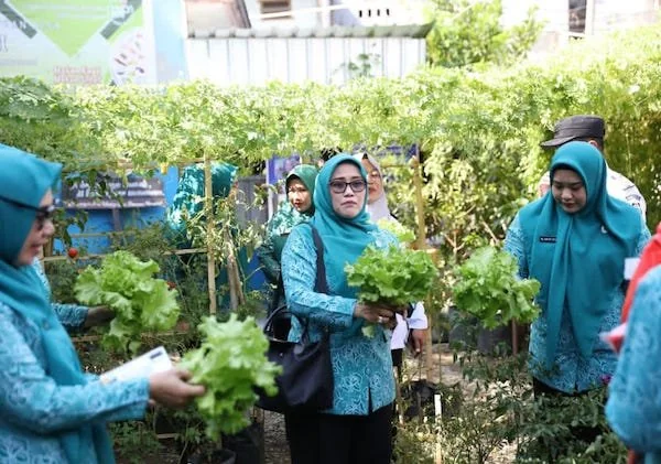 Peninjauan Langsung Terhadap Kebun Aku Hatinya PKK (Do: Ist).