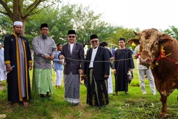 Sekretaris Provinsi Sulawesi Selatan, Jufri Rahman menyaksikan penyerahan kurban Presiden Republik Indonesia, Prabowo Subianto (Dok: Ist)