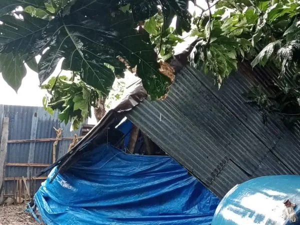 Kondisi rumah Sawa pasca diterjang angin puting beliung (Dok : Ist).
