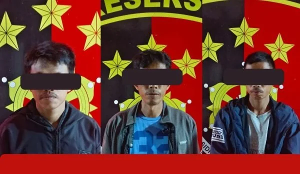 Tiga Terduga Pelaku Penikaman di Dusun Padangoge, Desa Laiyolo, (Dok: Ist).