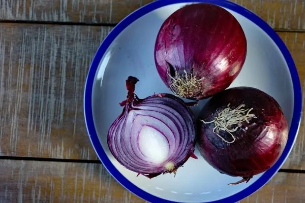 Ilustrasi bawang merah (Dok: Int)