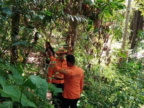 Tim sar gabungan saat mencari lansia yang hilang di hutan bambu Toraja (Dok : Ist).