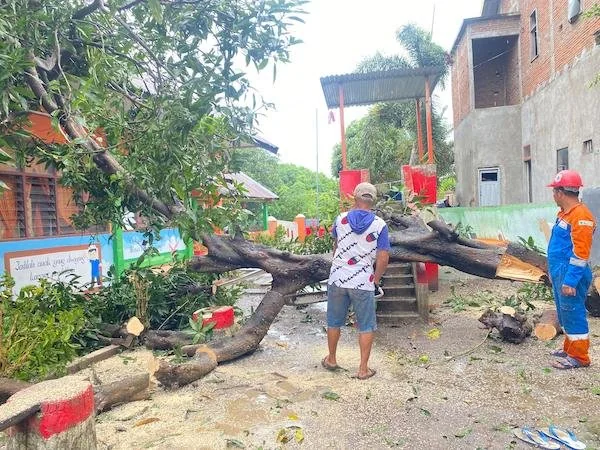 Tim TRC BPBD Jeneponto saat melakukan proses evakuasi terhadap pohon tumbang yang diakibatkan hujan deras dan angin kencang.(foto/ ist).