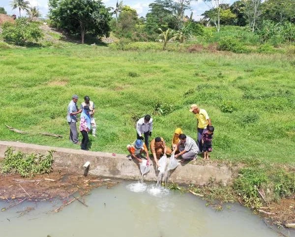 Pemprov Sulsel melalui Dinas Kelautan dan Perikanan kembali menebar benih ikan di Kabupaten Bone.