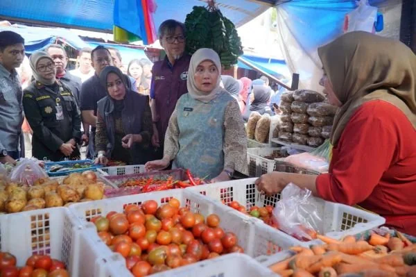 Wakil Wali Kota Makassar, Aliyah Mustika Ilham saat Sidak (Dok: Ist).