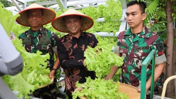 Kepala Dinas Ketahanan Pangan, Alamsyah, saat mengunjungi budidaya tanaman  di lowong wisata (Dok : ist).