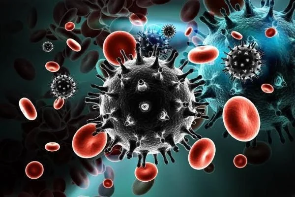 Ilustrasi virus HIV (Dok : Int).
