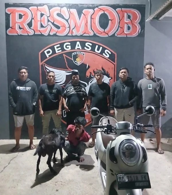 Tim Pegasus Resmob Polres Jeneponto saat mengamankan salah satu pelaku curnak Adi (29).