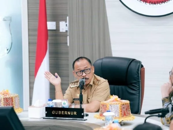 Gubernur Sulbar Suhardi Duka (Dok : Ist).
