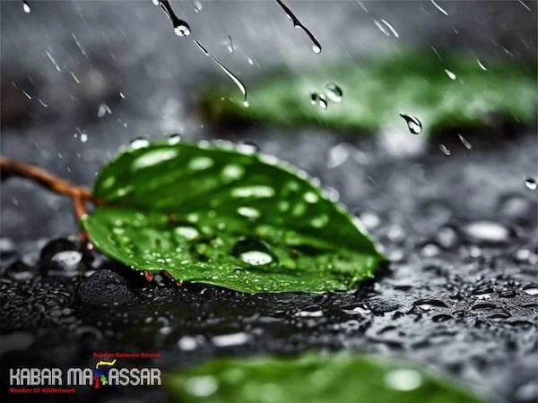 ilustrasi (dok. Kabar Makassar)