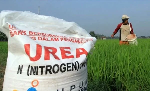 Pupuk Subsidi (Dok : Int).