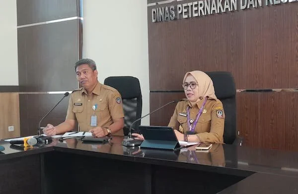 Kepala Dinas Peternakan dan Kesehatan Hewan Sulsel, Nurlina Saking, di Ruang Rapat Kantor Dinas Peternakan dan Kesehatan Hewan Sulsel (Dok: Nofi KabarMakassar)