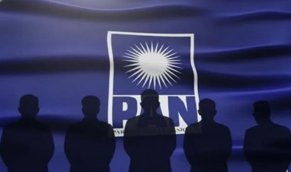 Ilustrasi Bendera PAN, (Dok: Ist).