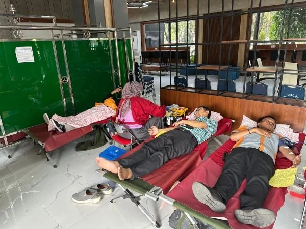PLN UID Sulselrabar Gelar Donor Darah (Dok : Ist).