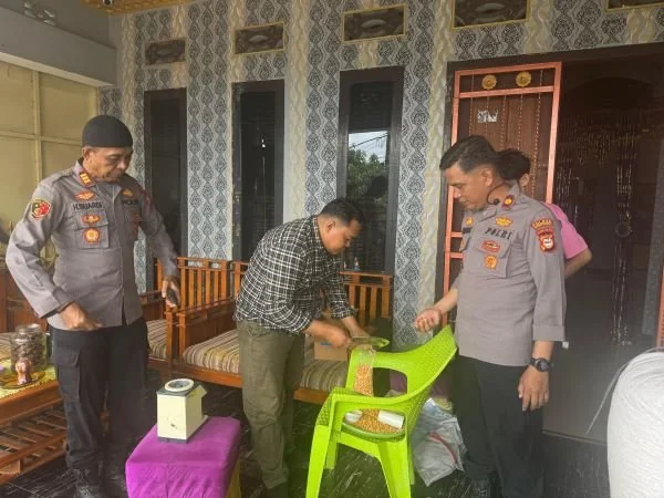 Kabag SDM Polres Jeneponto Kompol Syahrul dan Kapolsek Tamalatea AKP H. Suardi G bersama personel Polres Jeneponto saat melakukam pemdampingan Penjualan Jagung Gapoktan ke Bulog (Dok ; Ist).