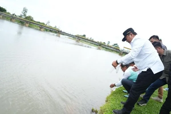 Pj Gubernur Bahtiar saat menebar bibit ikan nila di Polman (Dok : Ist).