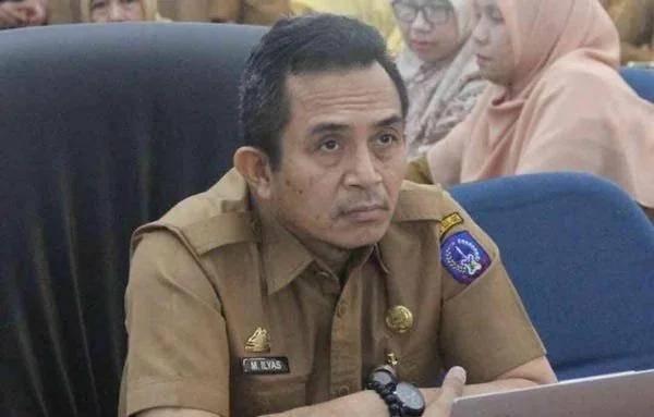 Kepala Dinas Kelautan dan Perikanan Provinsi Sulawesi Selatan, M Ilyas (Dok: Int)