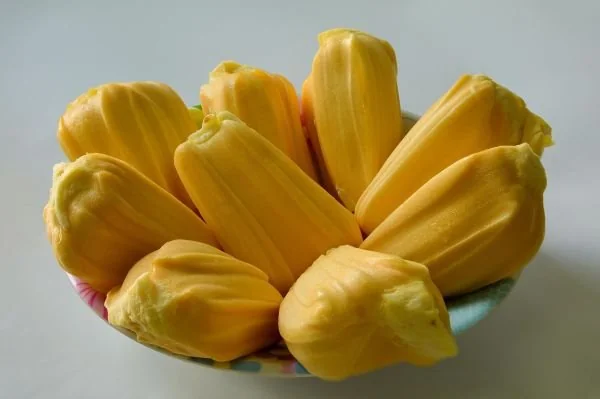 Buah nangka (Dok: Int)