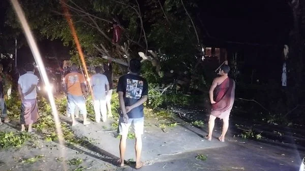 Saat warga saat berjibaku mengevakuasi Pohon tumbang di Jalan Poros Jeneponto-Kota Makassar. (Foto/ Ullah).