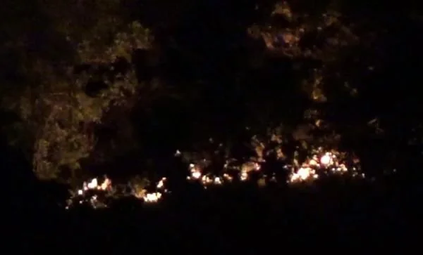 Kobaran Api yang membakar Hutan yang terjadi di Desa Sumare. (Dok: Aldy)