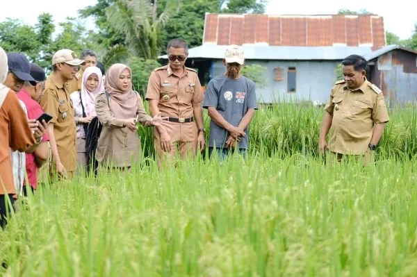 Pj Bupati Jeneponto, Junaedi Bakri melakukan peninjauan rencana lokasi Penangkaran Benih Padi di 3 Desa.
