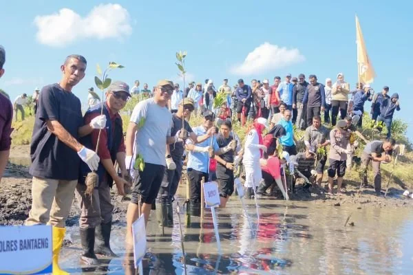 Bupati Bantaeng, M. Fathul Fauzy Nurdin, bersama KKN Unhas saat melakukan penanaman bibit mangrove di kawasan pesisir Pantai Bombong, Desa Biangkeke, Kecamatan Pa'jukukang (Dok ; ist).