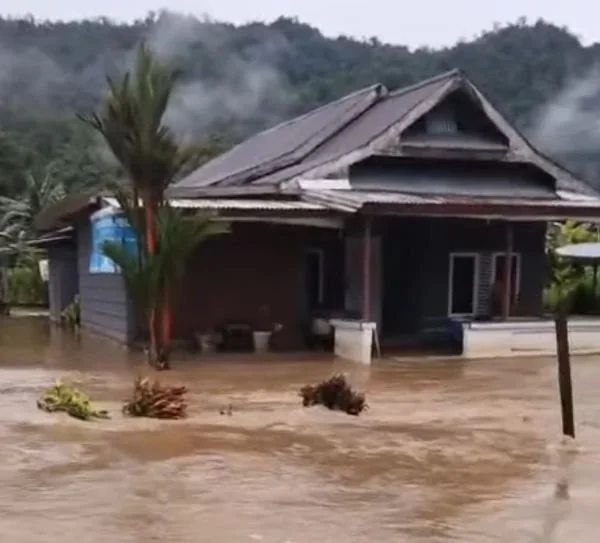 Banjir rendam rumah warga di Luwu Timur (Dok : Ist).