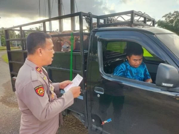 Anggota Polres Sinjai melakukan Oprasi Berantas Curnak dengan melakukan pemeriksaan kendaraan dan surat ijin pengakutan hewan (Dok : ist).
