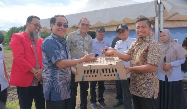 Penyerahan bantuan benih dan bibit hasil inovasi oleh Rektor Unhas, Prof Jamaluddin Jompa kepada Walikota Parepare, Tasming Hamid. Dok. Ist