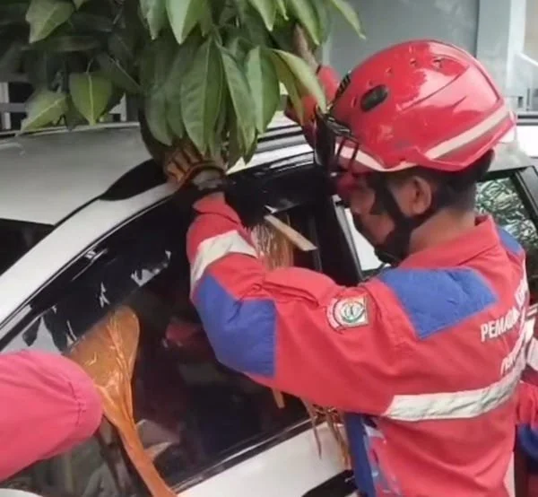 Tangkapan Layar Petugas Damkarmat Makassar Melakukan Penyelamatan Terhadap Balita Terkunci di Mobil (Dok: Ist).