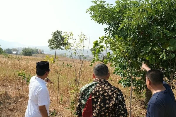 Wali Kota Makassar Munafri Arifuddin dan Anggota DPRD kota Makassar Muchlis Misbah saat Meninjau Lahan Calon Pemakaman Makassar di Maros (Dok: Ist).