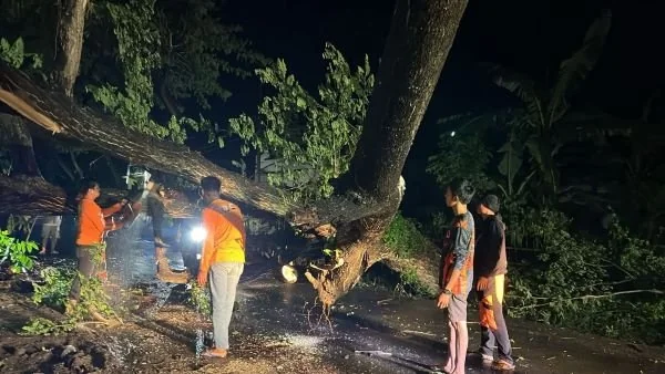 Tim TRC BPBD Jeneponto, saat mengevakuasi pohon tumbang di Jalan Abd. Jalil Sikki. (Dok: Ist).