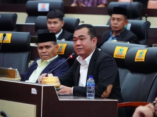 Ketua Panitia Khusus (Pansus) RPJMD DPRD Sulsel, Patarai Amir (Dok : Ist).