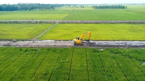 Ilustrasi cetak sawah (Dok: Ist)