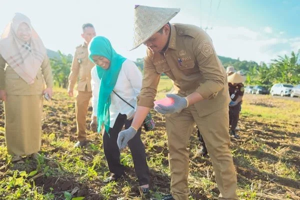 Bupati Bantaeng, M. Fathul Fauzy Nurdin saat melakukan penanaman benih jagung bernama Jagung Jago Unhas (JJUH) pada Kelompok Tani Assamaturu, di Desa Bonto Tiro, Kecamatan Sinoa, Senin, 21 Juli 2025.