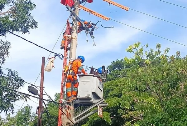 Tim khusus Pekerjaan Dalam Keadaan Bertengangan tengah memelihara jaringan tanpa padam di Kabupaten Bantaeng, Sulawesi Selatan. (Dok: Ist)