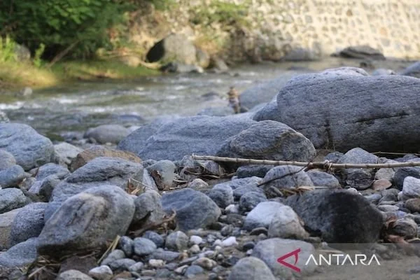 Salah satu sungai atau kali Pojok Distrik Sentani Kabupaten Jayapura Provinsi Papua yang terlihat alirannya beberapa tahun ini mengecil saat musim panas akibat perambahan hutan yang masih terjadi di kawasan CAP Cycloop sehingga membuat ketersediaan air be